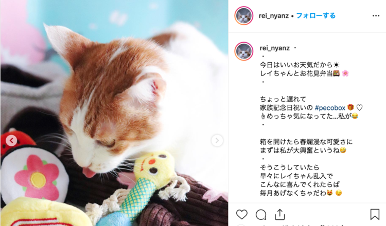 PECOBOX(ペコボックス)愛猫用の口コミ、評判