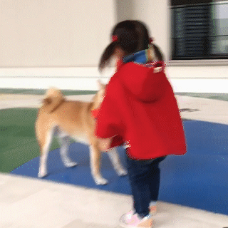 動物,犬,猫,しつけ,飼い方,育て方,病気,健康
