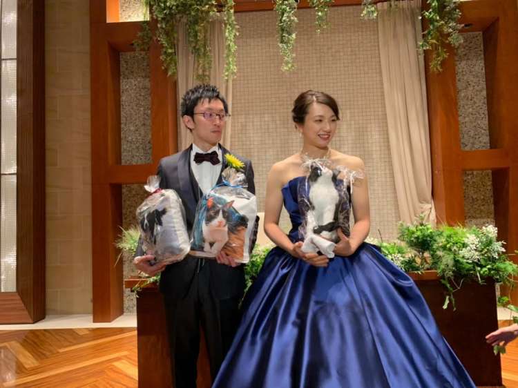 動物,犬,猫,しつけ,飼い方,育て方,病気,健康