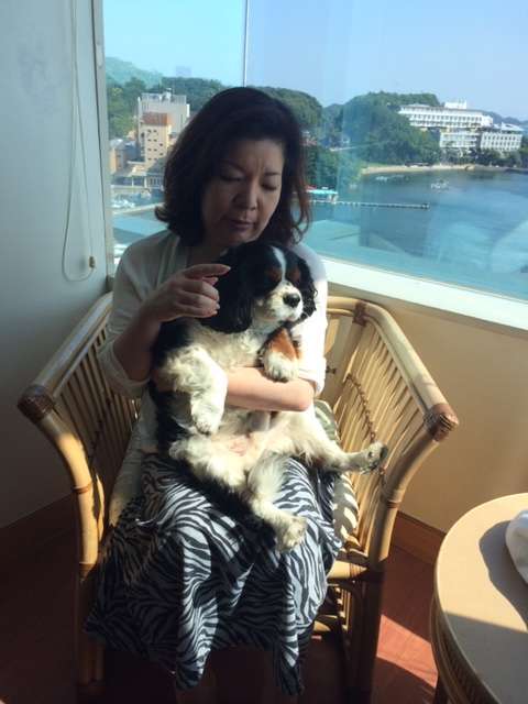 動物,犬,猫,しつけ,飼い方,育て方,病気,健康