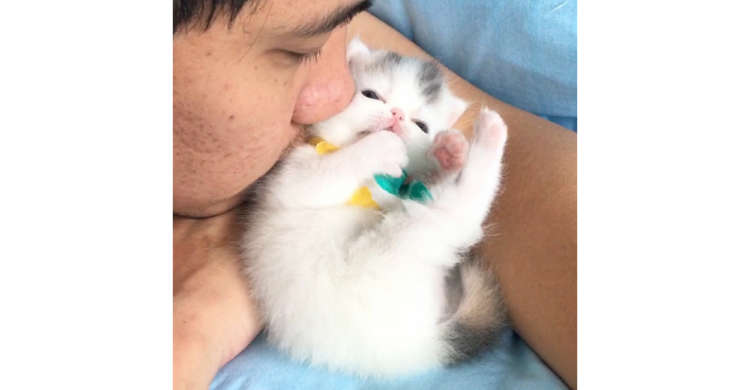【ふたりのあま〜い時間】パパから熱烈なチューをされる子猫 → すると、お返しに…(//∇//)♡