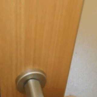 動物,犬,猫,しつけ,飼い方,育て方,病気,健康