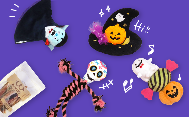 PECOBOX(ペコボックス) 10月号『ハロウィン特別号』アイテムのイメージ