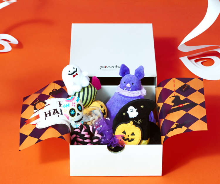 PECOBOX(ペコボックス) 10月号『ハロウィン特別号』のイメージ