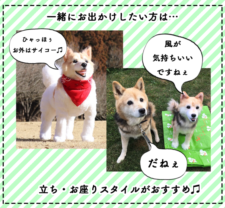 動物,犬,猫,しつけ,飼い方,育て方,病気,健康