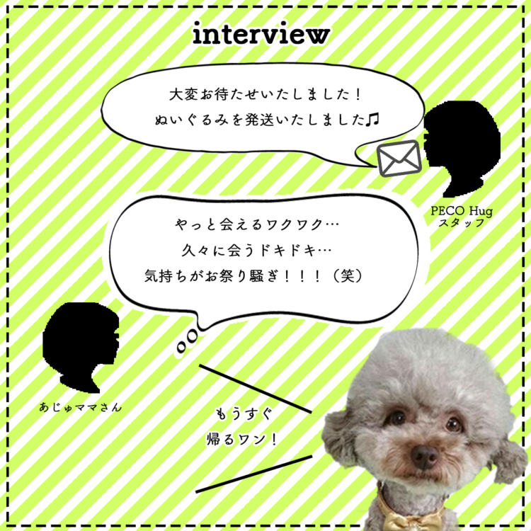 動物,犬,猫,しつけ,飼い方,育て方,病気,健康