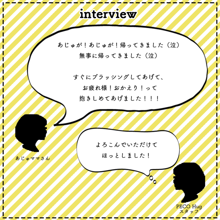 動物,犬,猫,しつけ,飼い方,育て方,病気,健康