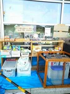 【熊本地震発生時】全国から寄せられた支援物資をシェア