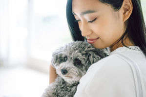 動物,犬,猫,しつけ,飼い方,育て方,病気,健康