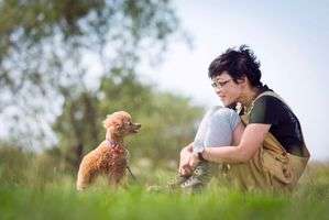 動物,犬,猫,しつけ,飼い方,育て方,病気,健康