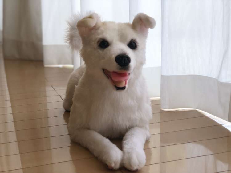 犬 ぬいぐるみ 保護犬 PECOHug ペコハグ 雑種犬 オーダーメイドぬいぐるみ