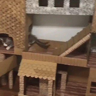 動物,犬,猫,しつけ,飼い方,育て方,病気,健康