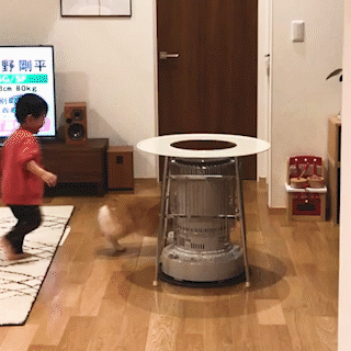 動物,犬,猫,しつけ,飼い方,育て方,病気,健康