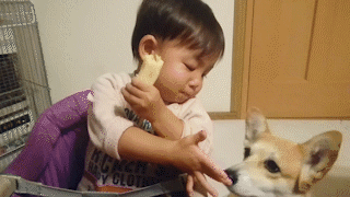 動物,犬,猫,しつけ,飼い方,育て方,病気,健康