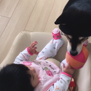 動物,犬,猫,しつけ,飼い方,育て方,病気,健康