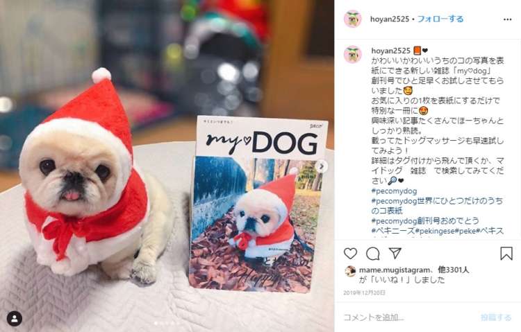 うちのコ表紙の「my♡DOG」を手にした飼い主さんたちの声が、Instagram上に集まっています。#pecomydog