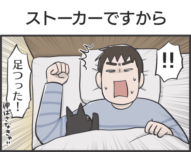 動物,犬,猫,しつけ,飼い方,育て方,病気,健康