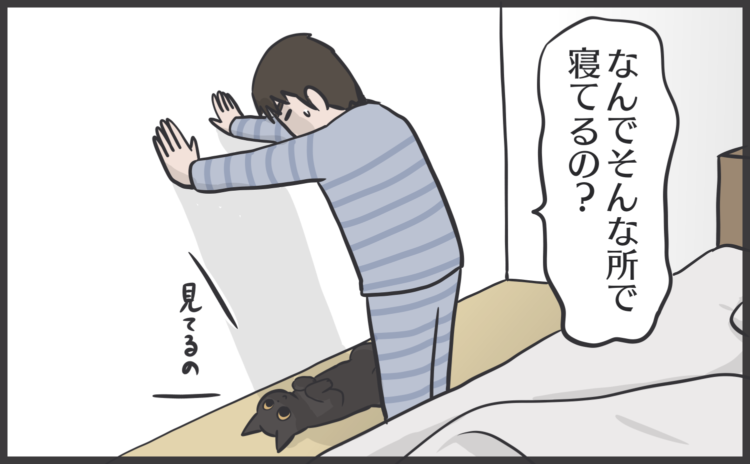 動物,犬,猫,しつけ,飼い方,育て方,病気,健康