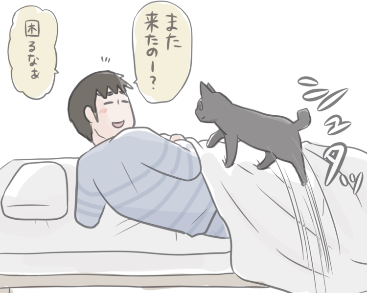 動物,犬,猫,しつけ,飼い方,育て方,病気,健康