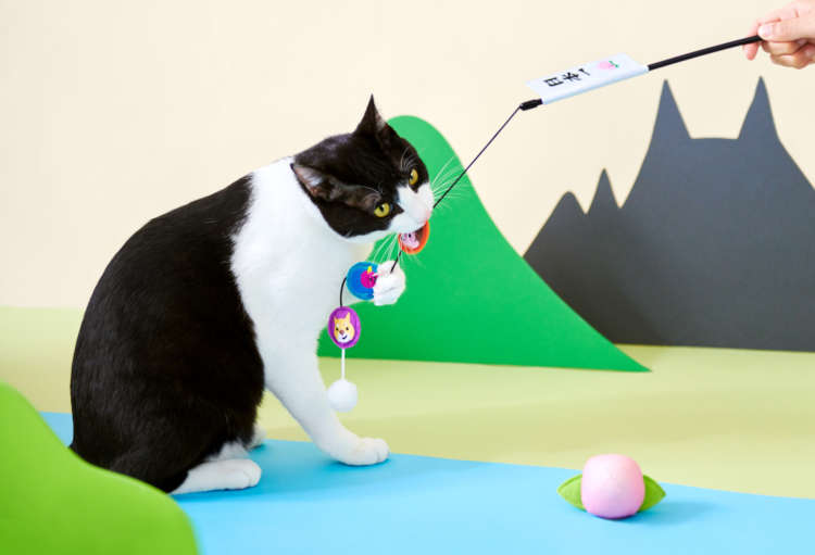 【愛猫用】PECOBOX(ペコボックス) 『桃太郎』受付中!愛猫のプレゼントの中身を解説