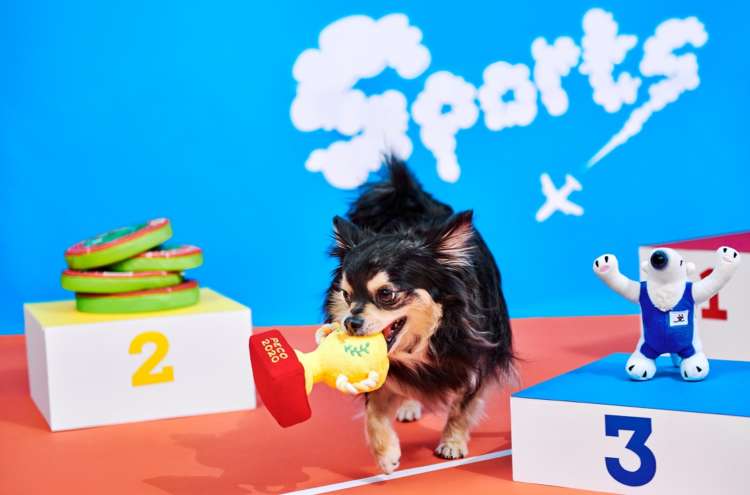 PECOBOX(ペコボックス)7月号は『PECO 運動会』!愛犬が喜ぶギフトの中身を解説♪
