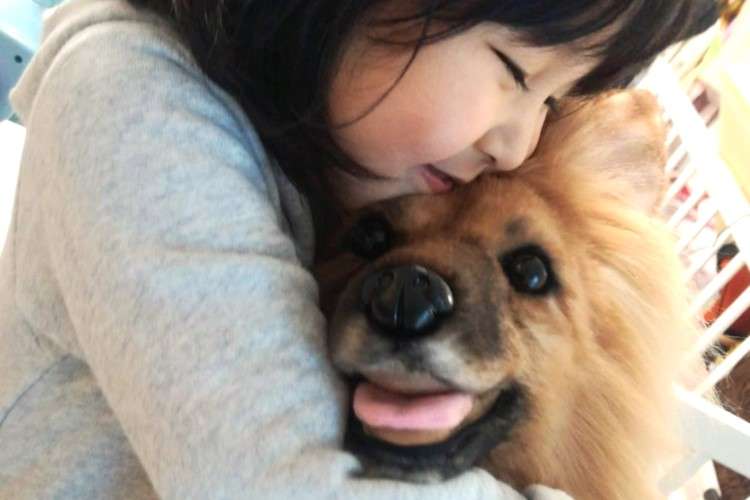 母から娘への贈り物。「オーダーメイドぬいぐるみ」で取り戻した家族の笑顔