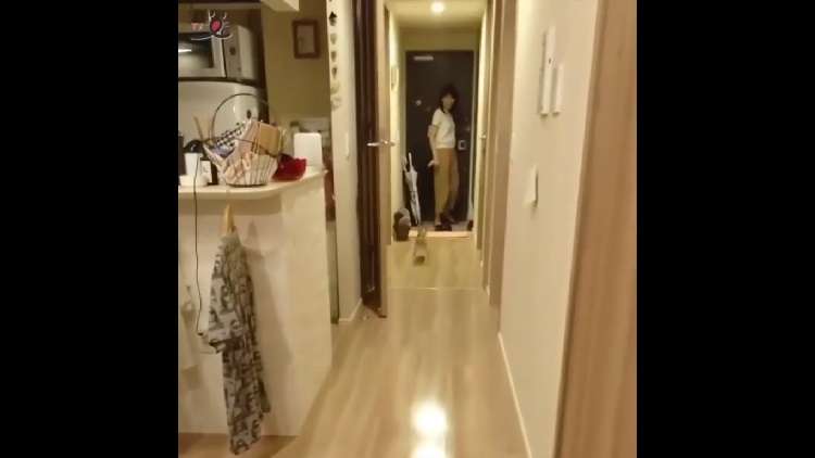 動物,犬,猫,しつけ,飼い方,育て方,病気,健康