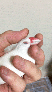 動物,犬,猫,しつけ,飼い方,育て方,病気,健康