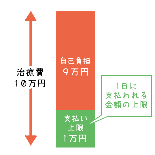 動物,犬,猫,しつけ,飼い方,育て方,病気,健康