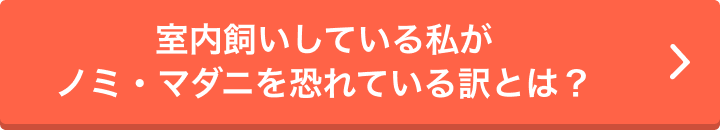 動物,犬,猫,しつけ,飼い方,育て方,病気,健康