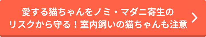 動物,犬,猫,しつけ,飼い方,育て方,病気,健康