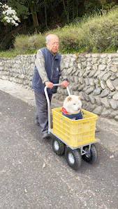 動物,犬,猫,しつけ,飼い方,育て方,病気,健康