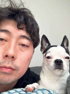 動物,犬,猫,しつけ,飼い方,育て方,病気,健康