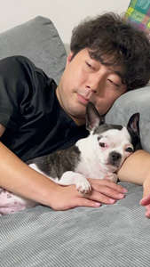 動物,犬,猫,しつけ,飼い方,育て方,病気,健康