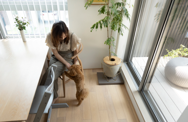 動物,犬,猫,しつけ,飼い方,育て方,病気,健康
