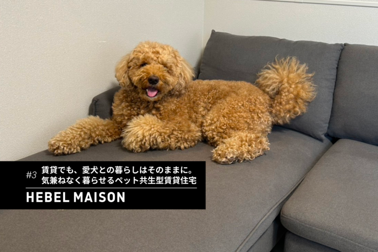 賃貸でも、愛犬との暮らしはそのままに。気兼ねなく暮らせるペット共生型賃貸住宅