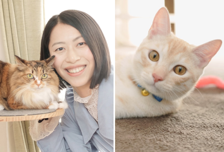 動物,犬,猫,しつけ,飼い方,育て方,病気,健康