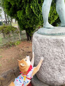 動物,犬,猫,しつけ,飼い方,育て方,病気,健康