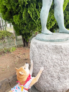 動物,犬,猫,しつけ,飼い方,育て方,病気,健康