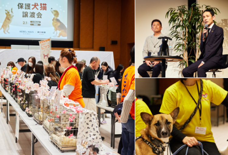 動物,犬,猫,しつけ,飼い方,育て方,病気,健康