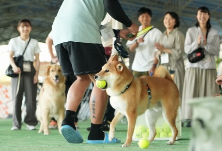 動物,犬,猫,しつけ,飼い方,育て方,病気,健康
