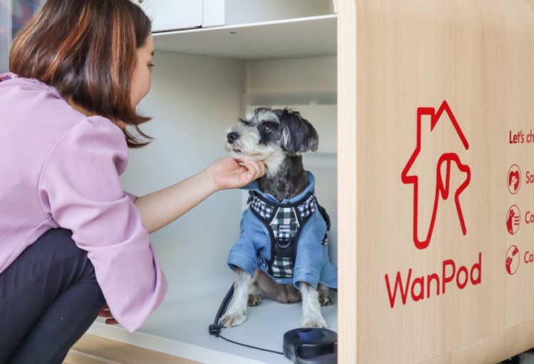 動物,犬,猫,しつけ,飼い方,育て方,病気,健康