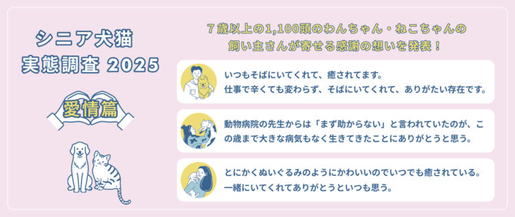 動物,犬,猫,しつけ,飼い方,育て方,病気,健康