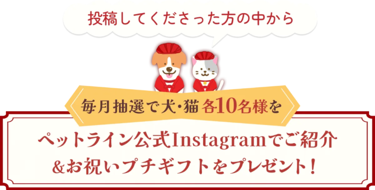 動物,犬,猫,しつけ,飼い方,育て方,病気,健康