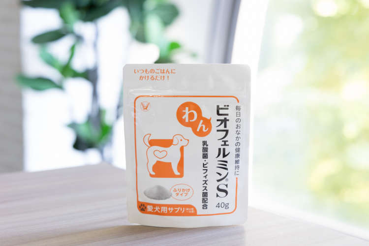 動物,犬,猫,しつけ,飼い方,育て方,病気,健康