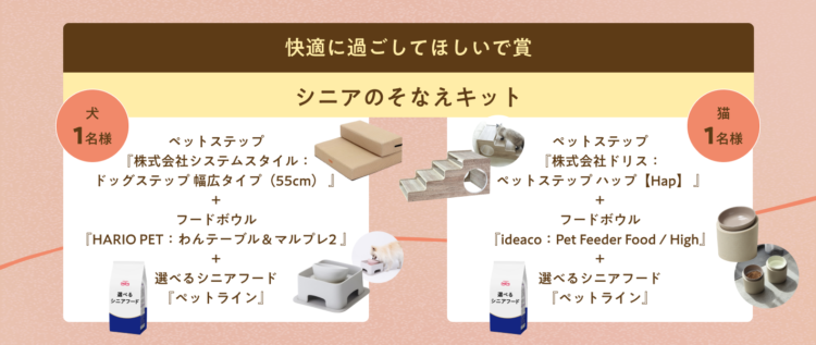 動物,犬,猫,しつけ,飼い方,育て方,病気,健康