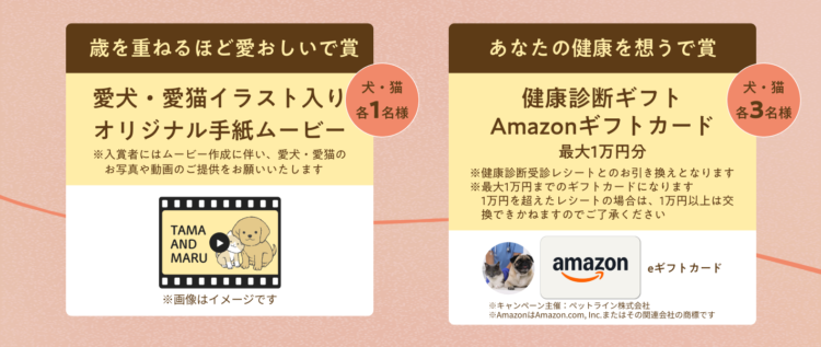 動物,犬,猫,しつけ,飼い方,育て方,病気,健康