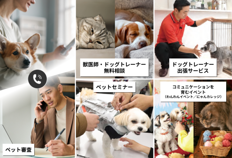 動物,犬,猫,しつけ,飼い方,育て方,病気,健康