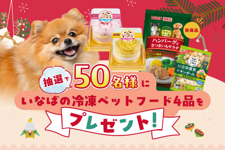 わんちゃんと一緒に楽しい新年を迎えよう!おいしいごちそうで、特別な1日に♪