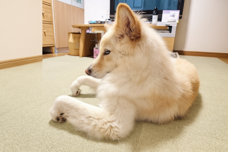 「思うところがある時にしがちなクセ強おてて」という題名で投稿された写真 → 二の腕バキバキすぎた